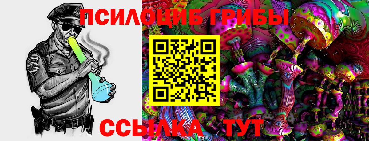 Губкинский  Псилоцибиновые грибы прущие грибы  Вход с VPN 
