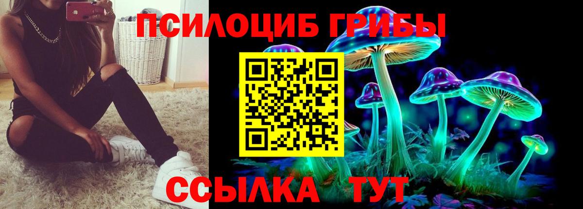 Псилоцибиновые грибы MAGIC MUSHROOMS Губкинский